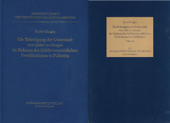 Die Befestigung der Unterstadt von Hirbet ez Zeraqôn im Rahmen der frühbronzezeitlichen Fortifikation in Palästina