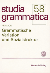 Grammatische Variation und Sozialstruktur